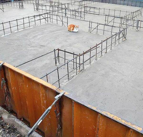 『マイホーム』を建てた女性　母親からの写真に驚いた理由が？