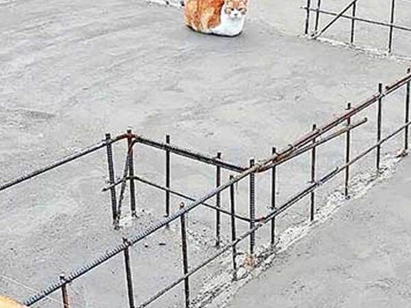 『マイホーム』を建てた女性　母親からの写真に驚いた理由が？