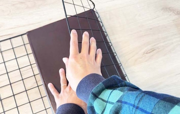 １００均ワイヤーネット　意外な使い方に「ピッタリ」「たった２２０円」