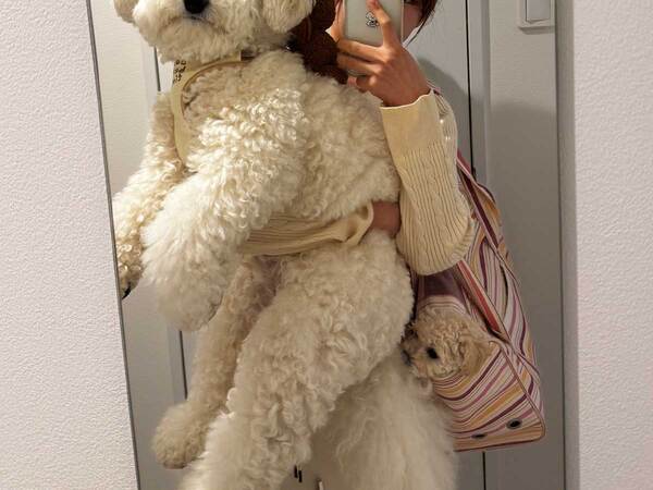 鏡で写真を撮った女性　抱えているのは…「声が出た」「待って、こっちにも？」