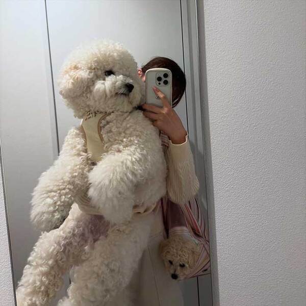 鏡で写真を撮った女性　抱えているのは…「声が出た」「待って、こっちにも？」