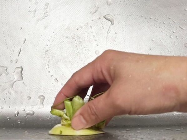 大根のヘタは捨てないで！　意外な活用法に「捨てずに使う」「すごい」