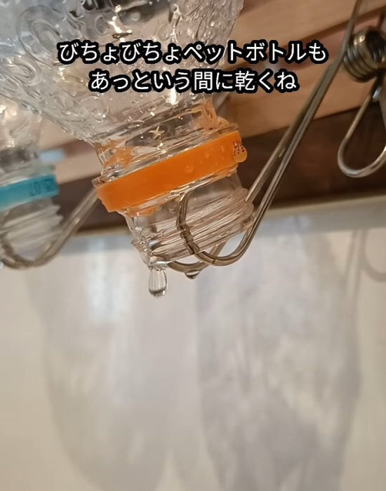 ステンレスピンチの意外な使い道　活用テクに「真似してみたい」「コレは便利」