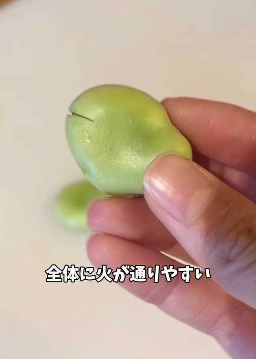 JA全農の『そら豆の食べ方』に「その手があったか」「絶対にうまいやつや」