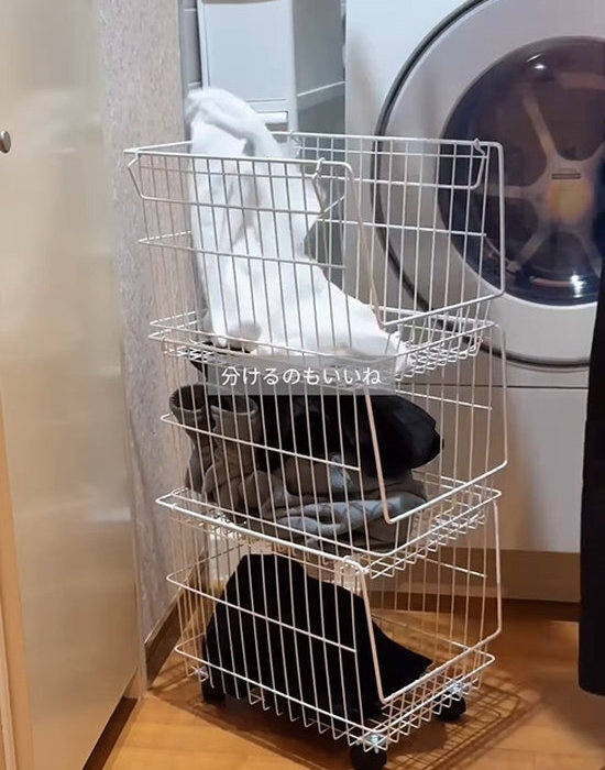 ダイソーのワイヤーカゴを重ねるだけで…　収納アイディアに「すごい！」「早速真似します」