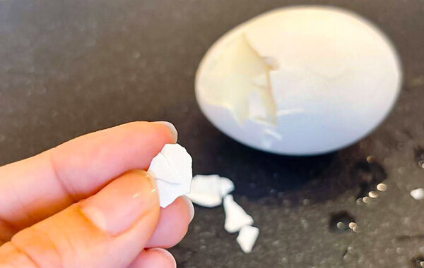 卵の殻を砕いて入れると…？　無印の豆知識に「驚いた」「子供が喜んだ」