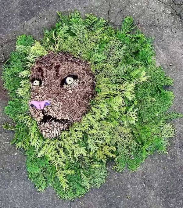 落ち葉が集められていると思ったら…　二度見しそうになる『光景』に「本物そっくり」「すごすぎる」