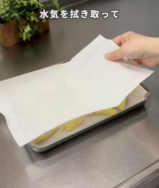 ミキサーにかけたタマネギ　凍らせた結果に「知らなかった」「コレは思い付かない」