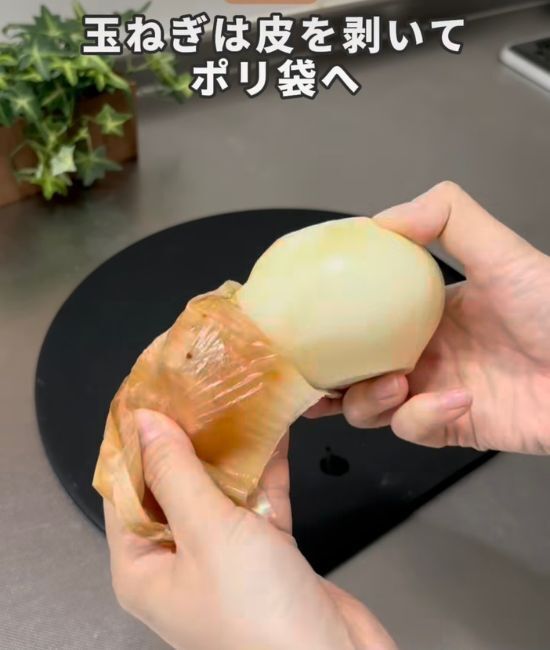 ミキサーにかけたタマネギ　凍らせた結果に「知らなかった」「コレは思い付かない」