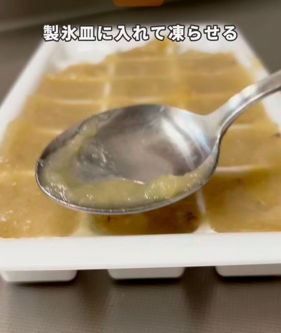 ミキサーにかけたタマネギ　凍らせた結果に「知らなかった」「コレは思い付かない」