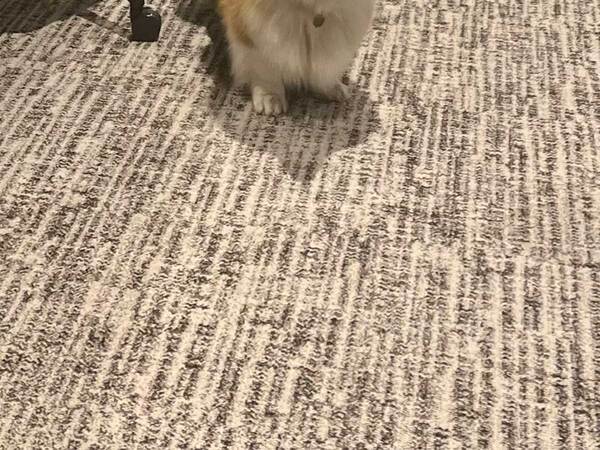 出社して秒で「会社来てよかった」　その理由に「この手があったか！」