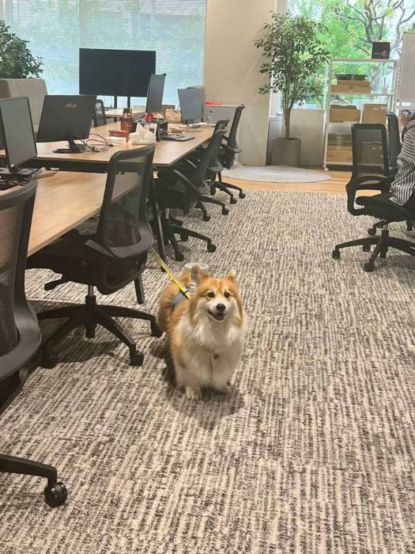 出社して秒で「会社来てよかった」　その理由に「この手があったか！」