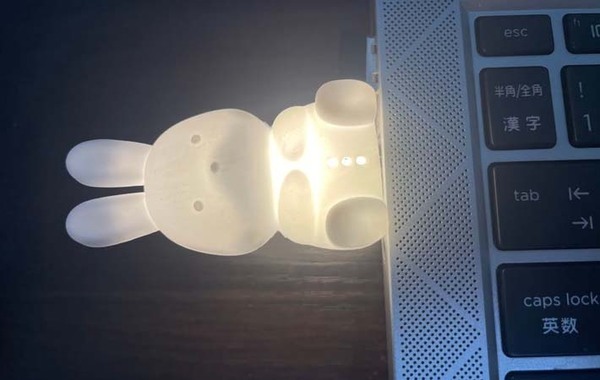 ダイソーで見つけた『うさぎ』　使い方に「ふんわり優しい」「これ便利」