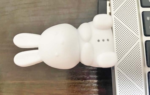 ダイソーで見つけた『うさぎ』　使い方に「ふんわり優しい」「これ便利」