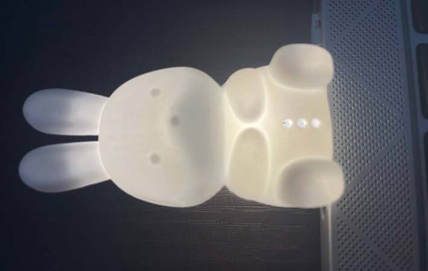 ダイソーで見つけた『うさぎ』　使い方に「ふんわり優しい」「これ便利」