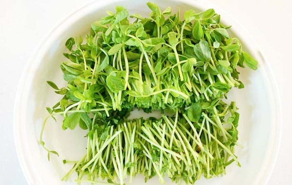 鶏がらスープの素で作るのは？　味の素提案のレシピに「無限に食べられる！」