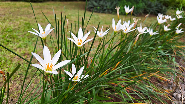 行政「絶対に食べないで」　５月から増える注意喚起に「知らなかった」「家族に伝える！」
