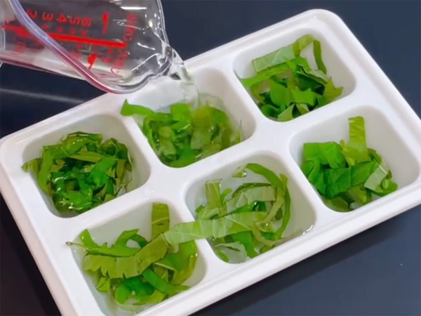 製氷皿に『大葉』を入れて…　できたものに「真似したい」「斬新！」