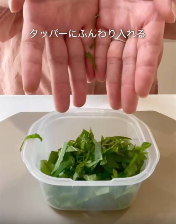 製氷皿に『大葉』を入れて…　できたものに「真似したい」「斬新！」