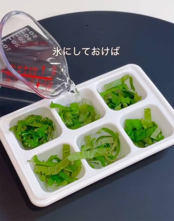 製氷皿に『大葉』を入れて…　できたものに「真似したい」「斬新！」