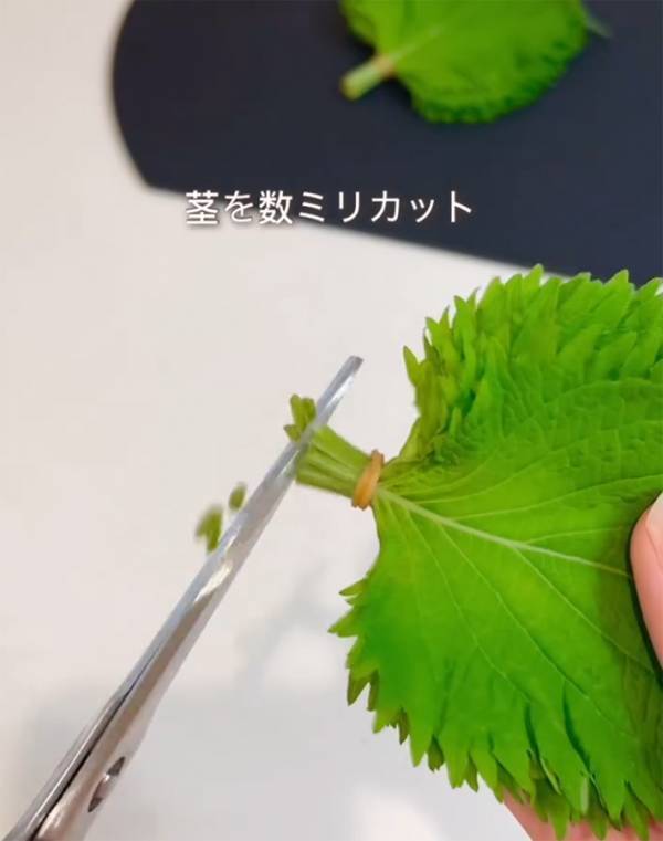 製氷皿に『大葉』を入れて…　できたものに「真似したい」「斬新！」