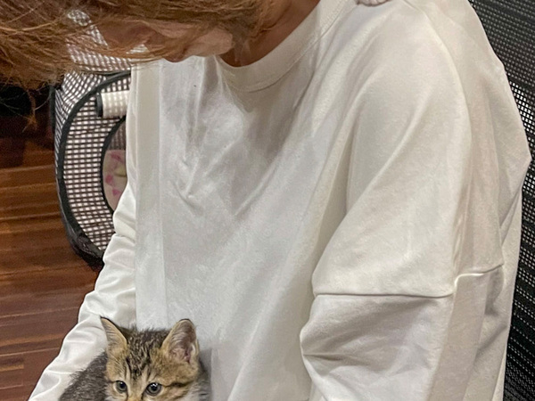 猫のいる会社がデメリットを公表した結果…　職場風景に「最高かよ！」「雇われたい」