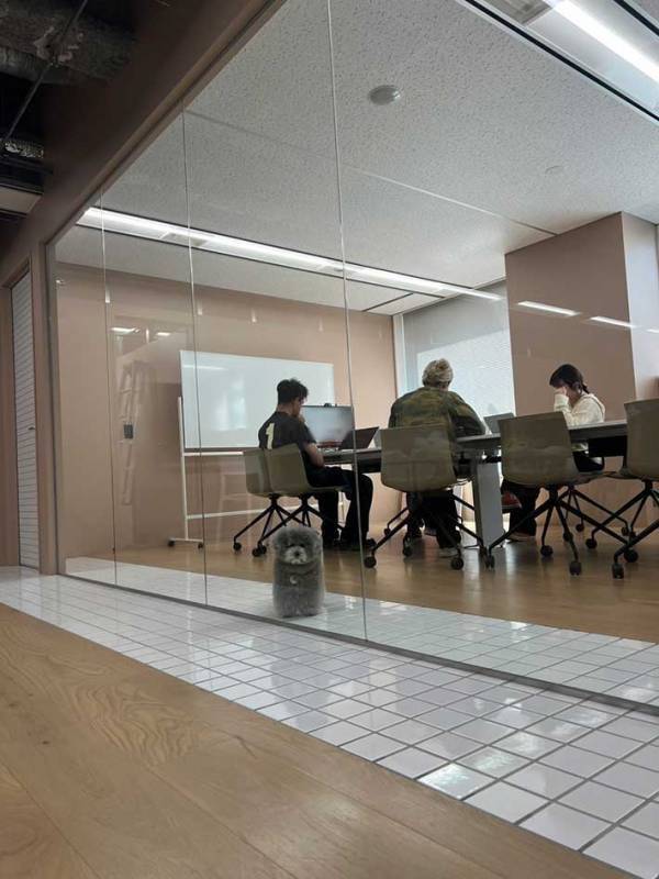 犬がいる職場　会議の光景に「想像以上だった」「あまりにも…」