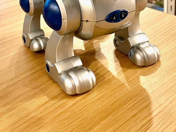 「コレ持ってた」「まだ実家にいるかも！」　自宅に迎えた『新しい家族』に反響！