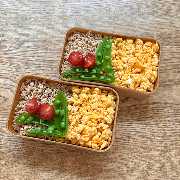 家族のために作った『２色弁当』　工夫施したビジュアルに「これは真似したい！」