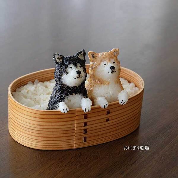 弁当箱に入ったおにぎりに、キュン！　そのワケが…「こんなの食べられない」「困る」