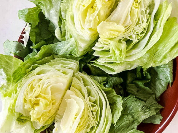 冷蔵庫に残ったレタス、どう食べる？　ミツカンの簡単おかずに「ひと玉ペロリ！」