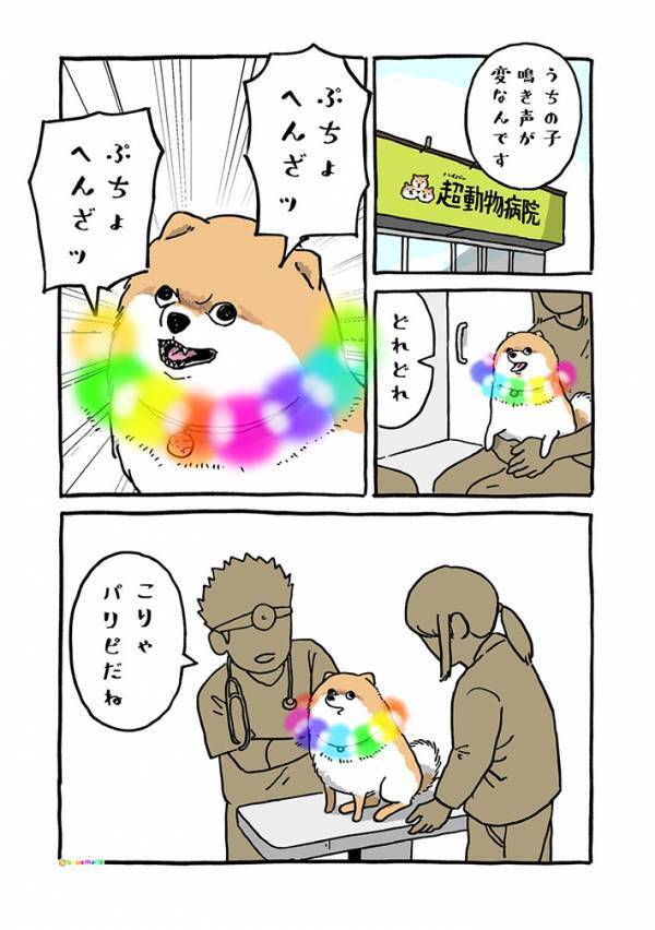 「うちの子、鳴き声がヘンなんです」　動物病院での出来事に「腹筋が崩壊した」