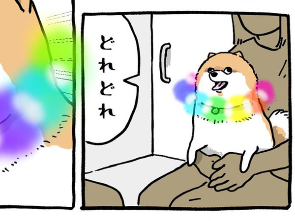 「うちの子、鳴き声がヘンなんです」　動物病院での出来事に「腹筋が崩壊した」