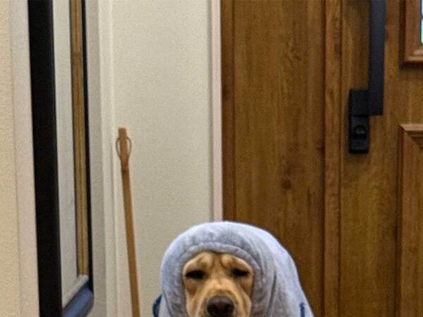 夫から送られてきた写真　写っていたのは…？「盛大に吹いた」「電車で見ちゃダメ」