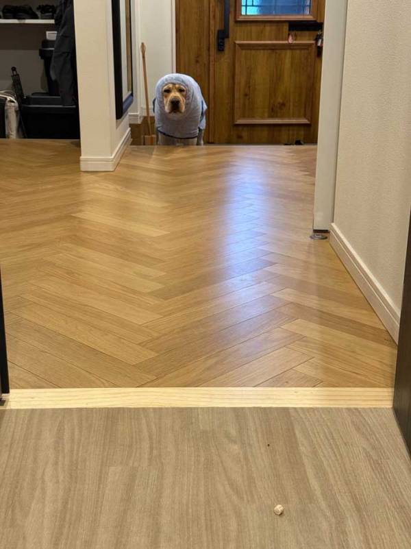 夫から送られてきた写真　写っていたのは…？「盛大に吹いた」「電車で見ちゃダメ」