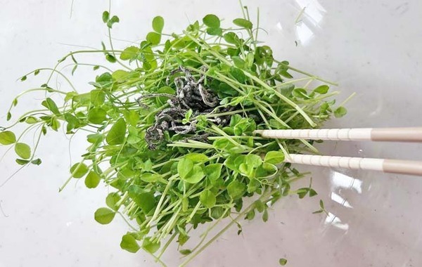 「パクパク食べられる」「弁当にぴったり」　塩昆布と混ぜたのは…？