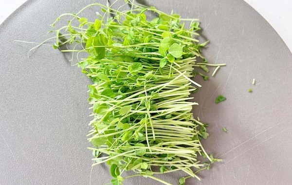 「パクパク食べられる」「弁当にぴったり」　塩昆布と混ぜたのは…？