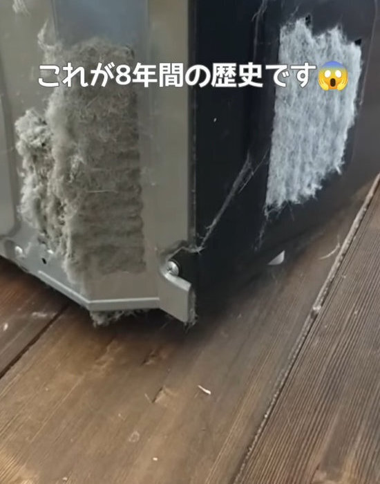 冷蔵庫は『動かして』掃除して！　解説に「ウソでしょ」「簡単なんだ」