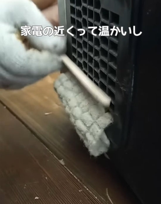 冷蔵庫は『動かして』掃除して！　解説に「ウソでしょ」「簡単なんだ」