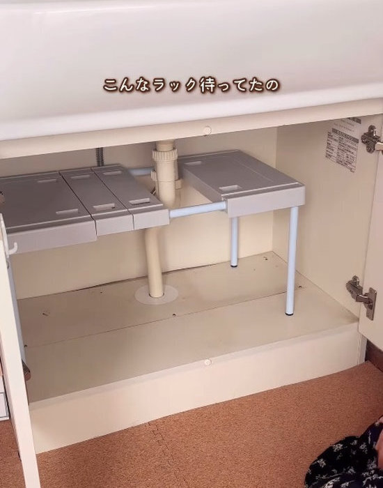 洗面台下の『デッドスペース』　ダイソーアイテムを使うと…　「収納力倍」