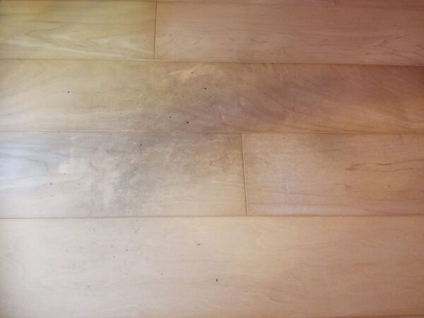 フローリングの黒ずみはどう落とす？　プロが教える掃除術に「めっちゃ助かります」