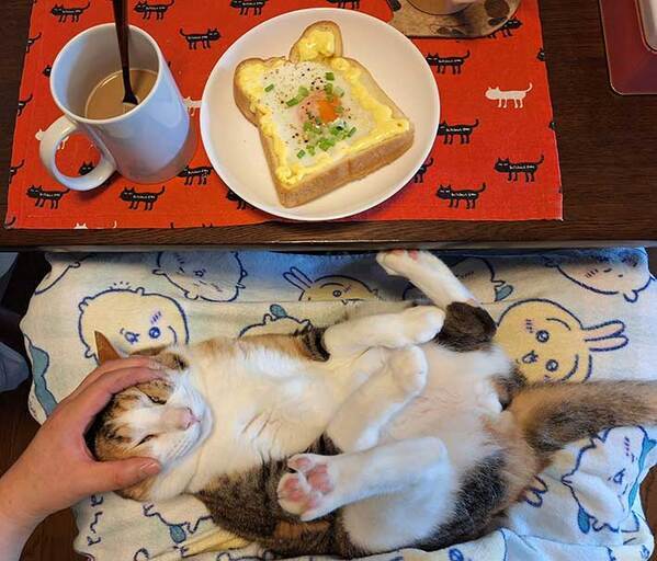 「下半分が気になる」　卵トーストよりも目立っていたのは？