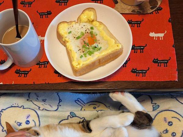 「下半分が気になる」　卵トーストよりも目立っていたのは？