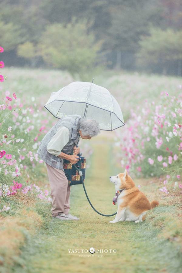 「小田和正が脳内再生」「想像がかき立てられる」　柴犬のリードを持つのは？