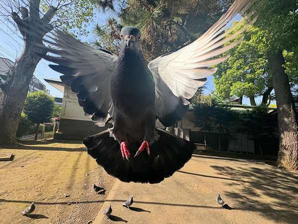 すごい瞬間が撮れてしまった…　奇跡の１枚に「前世スーパーモデルで確定」