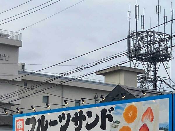 『おじさん寄りなフルーツサンド店』　見た目に「意外すぎる」