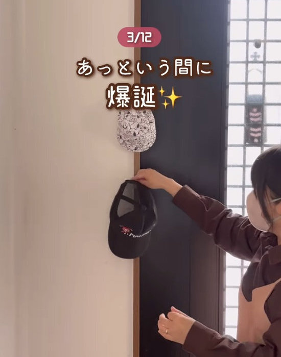 １００均『かもいフック』の意外な活用テクに「すごくいい」「驚いた」