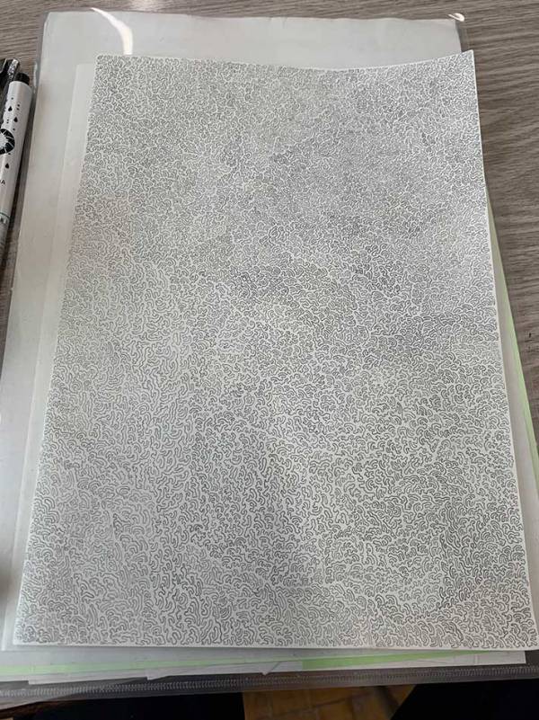 紙一面に描かれていたのは…　写真に「びっくりした」「ゾワゾワする」