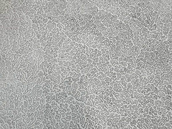 紙一面に描かれていたのは…　写真に「びっくりした」「ゾワゾワする」