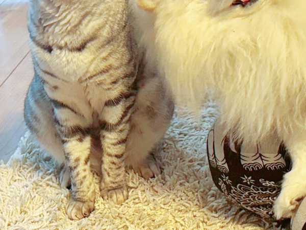 「顔に笑った」「漫才なの？」　スマイル全開の犬、隣には？